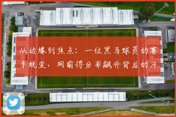从边缘到焦点：一位黑马球员的赛季蜕变，网前得分率飙升背后的汗水与挑战