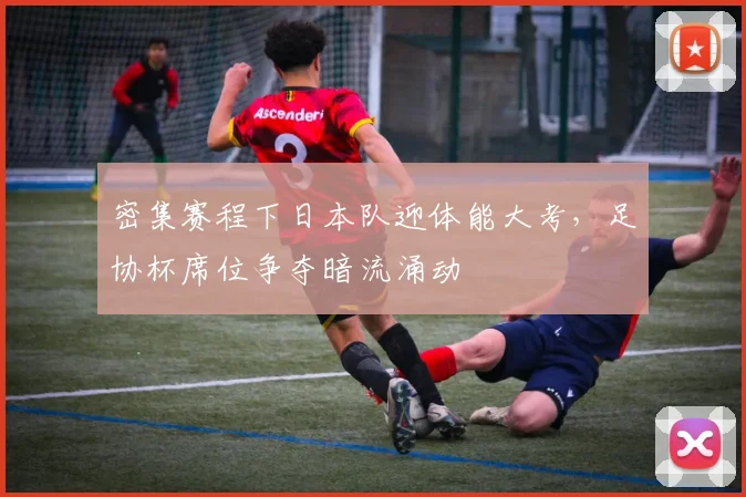 密集赛程下日本队迎体能大考，足协杯席位争夺暗流涌动